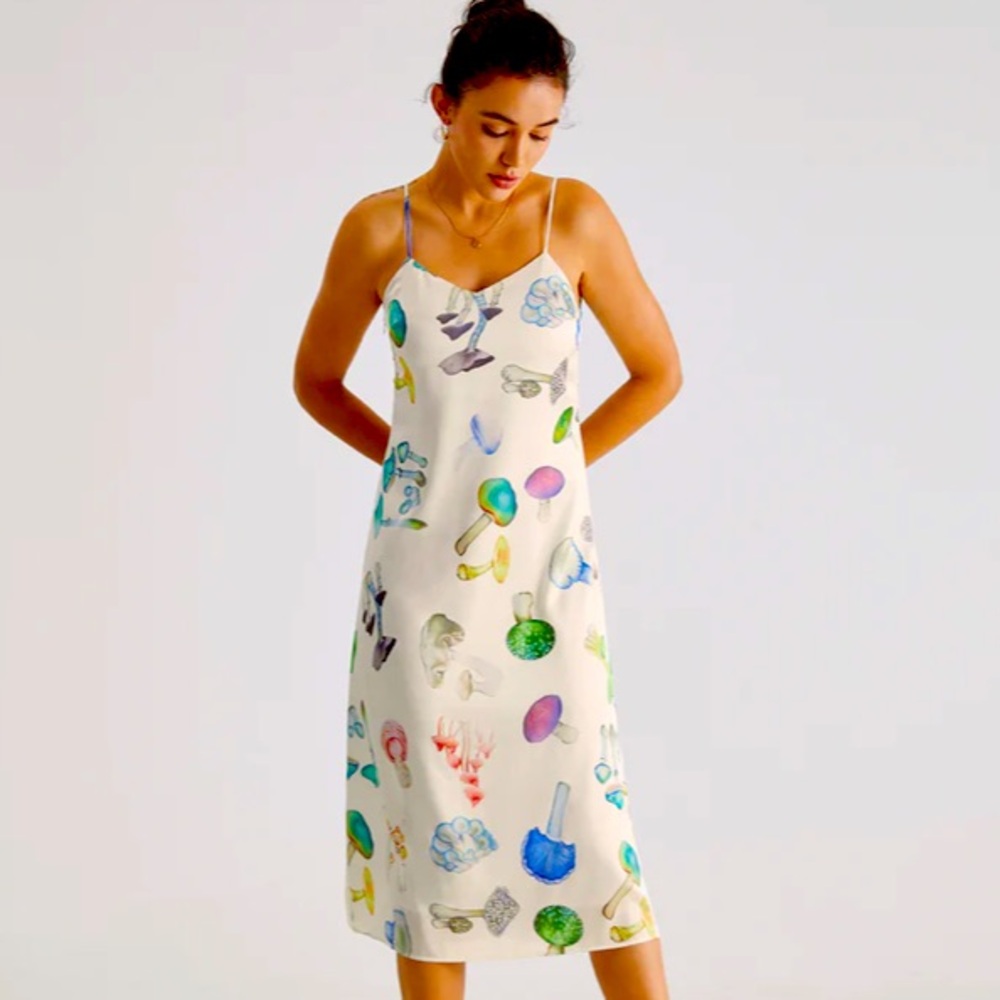 NWT Silk Mushroom Print Slip Dress Sz L